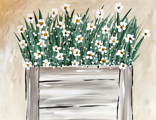 Daisies in a Box